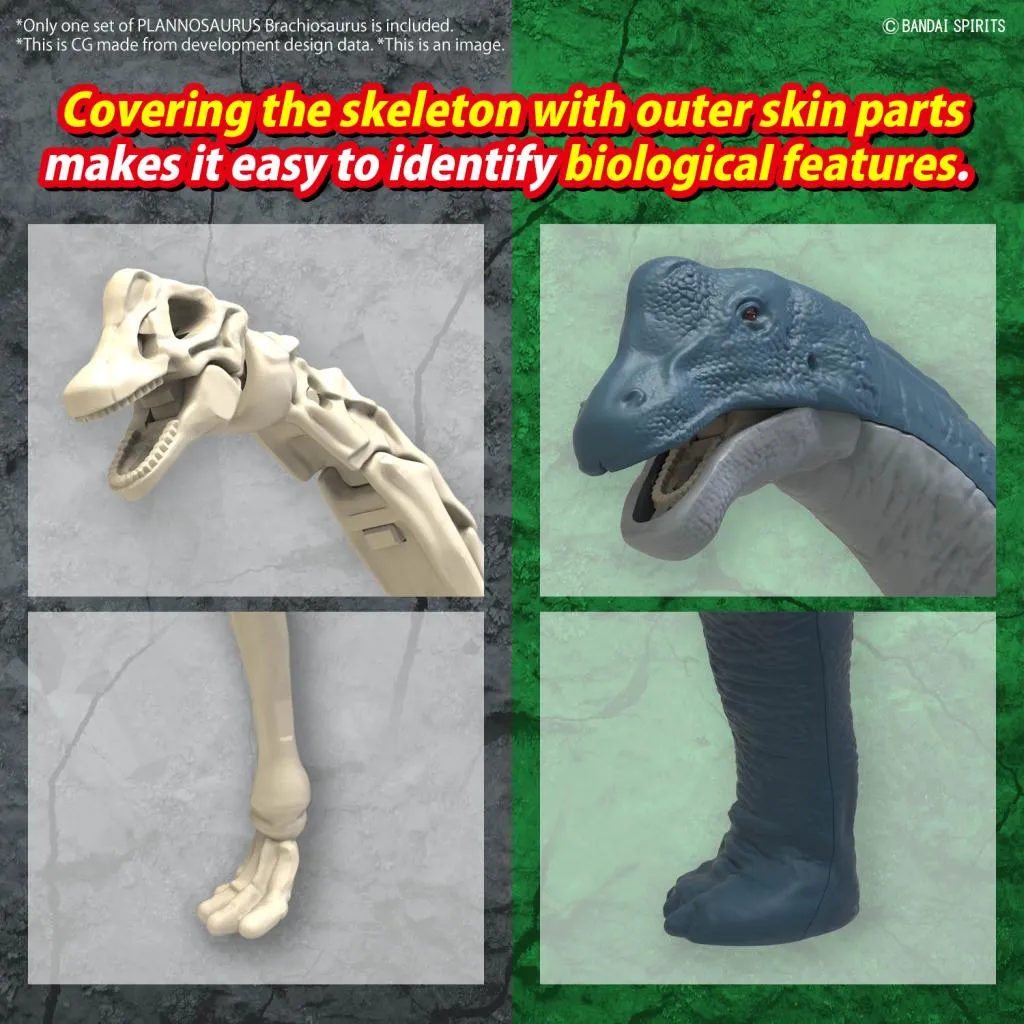 PLANNOSAURUS - Brachiosaurus - Model Kit